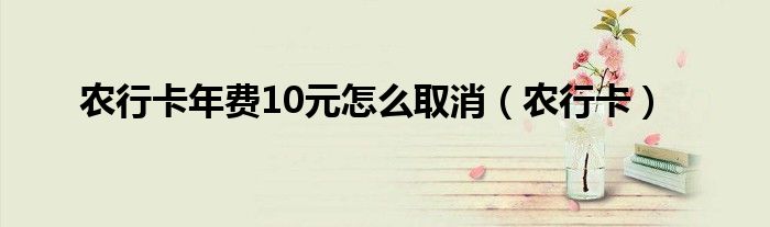农行卡年费10元怎么取消（农行卡）