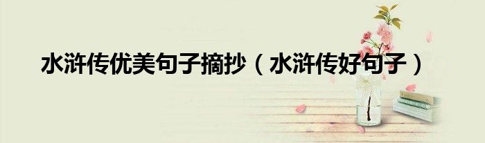水浒传优美句子摘抄（水浒传好句子）