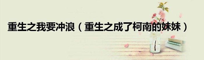 重生之我要冲浪（重生之成了柯南的妹妹）