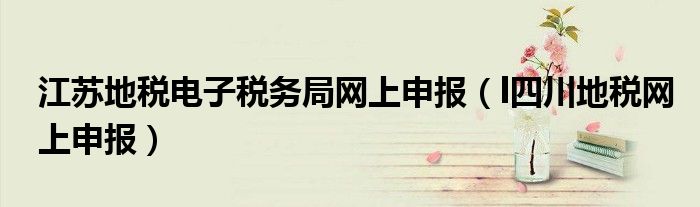 江苏地税电子税务局网上申报（l四川地税网上申报）