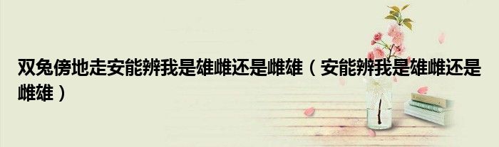 双兔傍地走安能辨我是雄雌还是雌雄（安能辨我是雄雌还是雌雄）