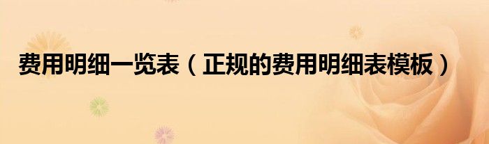 费用明细一览表（正规的费用明细表模板）