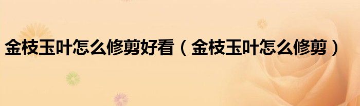 金枝玉叶怎么修剪好看（金枝玉叶怎么修剪）