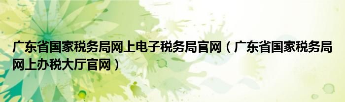 广东省国家税务局网上电子税务局官网（广东省国家税务局网上办税大厅官网）