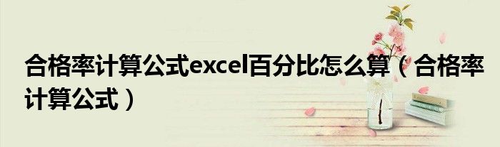 合格率计算公式excel百分比怎么算（合格率计算公式）
