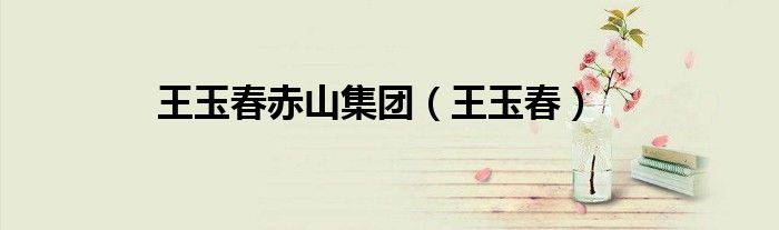 王玉春赤山集团（王玉春）
