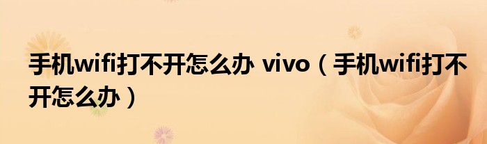 手机wifi打不开怎么办 vivo（手机wifi打不开怎么办）