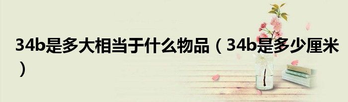 34b是多大相当于什么物品（34b是多少厘米）