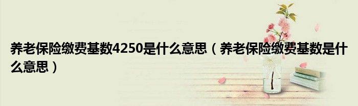 养老保险缴费基数4250是什么意思（养老保险缴费基数是什么意思）