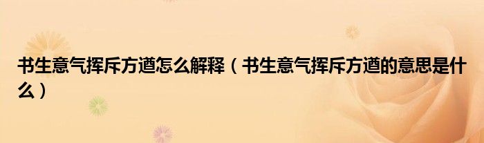 书生意气挥斥方遒怎么解释（书生意气挥斥方遒的意思是什么）