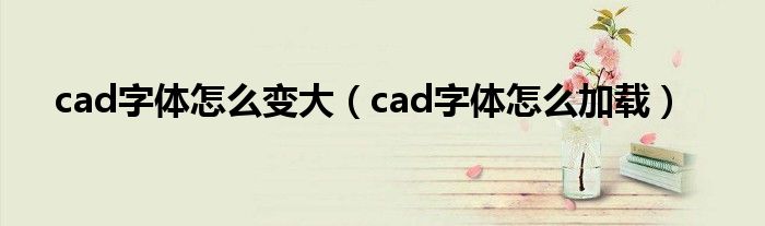 cad字体怎么变大（cad字体怎么加载）