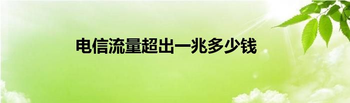 电信流量超出一兆多少钱