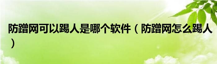 防蹭网可以踢人是哪个软件（防蹭网怎么踢人）