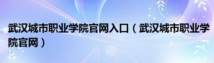 武汉城市职业学院官网入口（武汉城市职业学院官网）