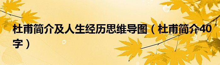 杜甫简介及人生经历思维导图（杜甫简介40字）