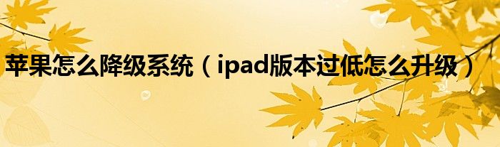 苹果怎么降级系统（ipad版本过低怎么升级）