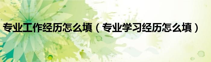 专业工作经历怎么填（专业学习经历怎么填）