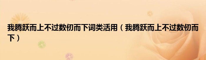 我腾跃而上不过数仞而下词类活用（我腾跃而上不过数仞而下）