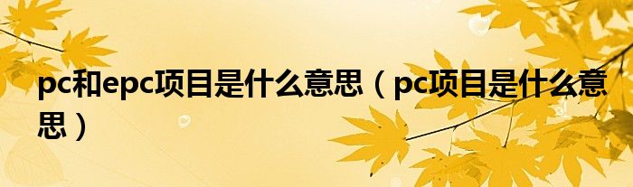 pc和epc项目是什么意思（pc项目是什么意思）