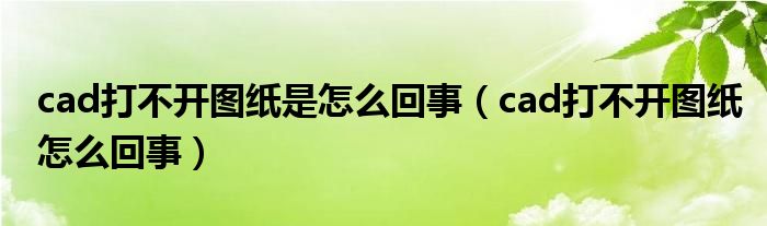 cad打不开图纸是怎么回事（cad打不开图纸怎么回事）