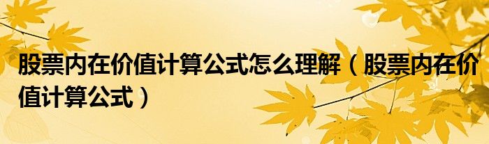 股票内在价值计算公式怎么理解（股票内在价值计算公式）