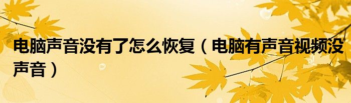 电脑声音没有了怎么恢复（电脑有声音视频没声音）