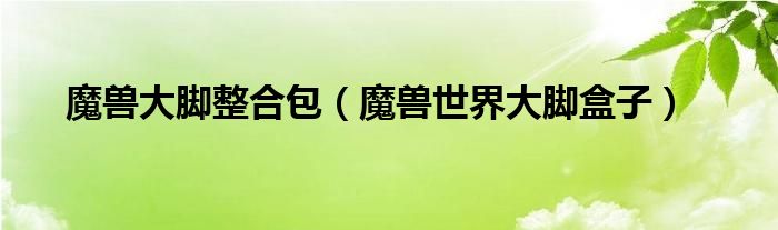 魔兽大脚整合包（魔兽世界大脚盒子）