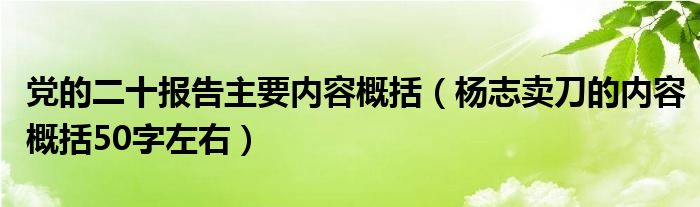 党的二十报告主要内容概括（杨志卖刀的内容概括50字左右）