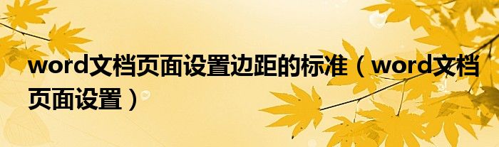 word文档页面设置边距的标准（word文档页面设置）