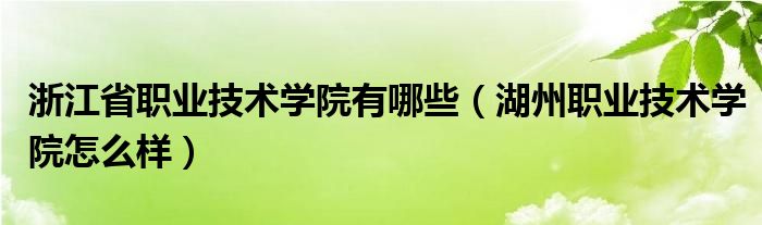 浙江省职业技术学院有哪些（湖州职业技术学院怎么样）