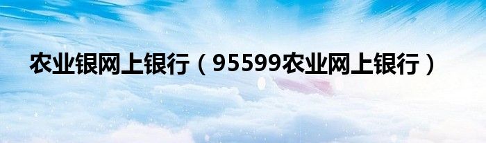 农业银网上银行（95599农业网上银行）