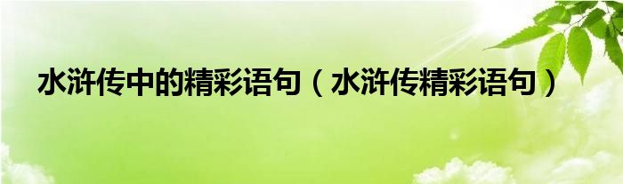 水浒传中的精彩语句（水浒传精彩语句）