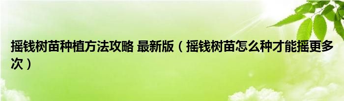 摇钱树苗种植方法攻略 最新版（摇钱树苗怎么种才能摇更多次）