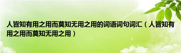 人皆知有用之用而莫知无用之用的词语词句词汇（人皆知有用之用而莫知无用之用）