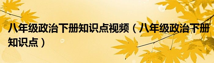 八年级政治下册知识点视频（八年级政治下册知识点）