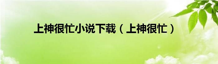 上神很忙小说下载（上神很忙）