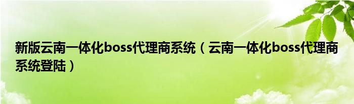 新版云南一体化boss代理商系统（云南一体化boss代理商系统登陆）