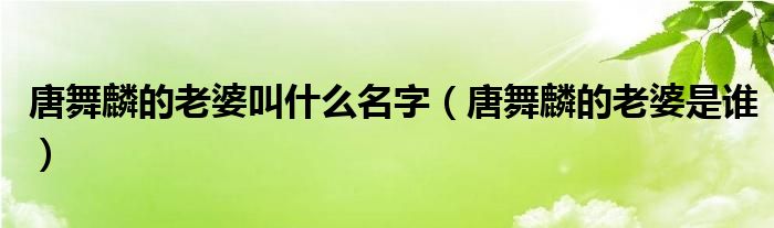唐舞麟的老婆叫什么名字（唐舞麟的老婆是谁）