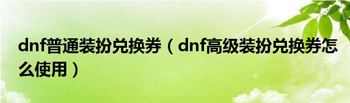 dnf普通装扮兑换券（dnf高级装扮兑换券怎么使用）