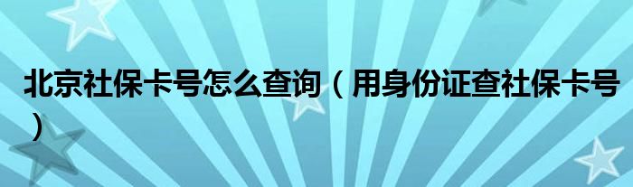 北京社保卡号怎么查询（用身份证查社保卡号）