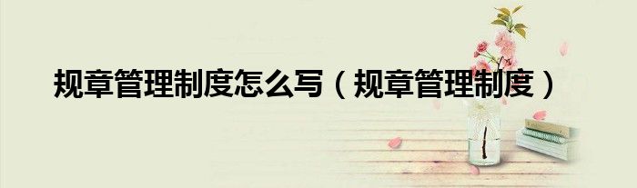 规章管理制度怎么写（规章管理制度）