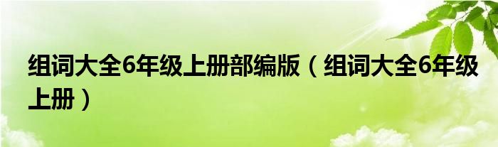 组词大全6年级上册部编版（组词大全6年级上册）