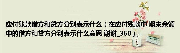 应付账款借方和贷方分别表示什么（在应付账款中 期末余额中的借方和贷方分别表示什么意思 谢谢_360）