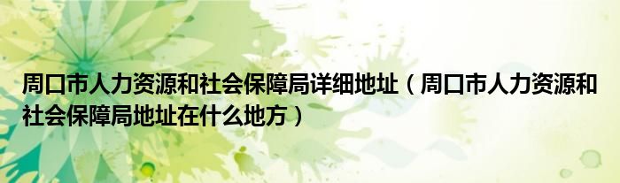 周口市人力资源和社会保障局详细地址（周口市人力资源和社会保障局地址在什么地方）