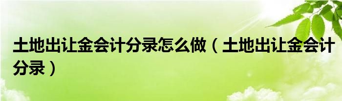 土地出让金会计分录怎么做（土地出让金会计分录）