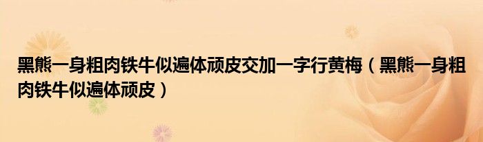 黑熊一身粗肉铁牛似遍体顽皮交加一字行黄梅（黑熊一身粗肉铁牛似遍体顽皮）