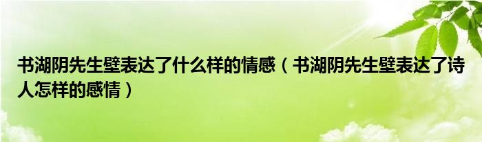 书湖阴先生壁表达了什么样的情感（书湖阴先生壁表达了诗人怎样的感情）