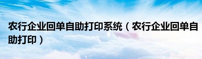 农行企业回单自助打印系统（农行企业回单自助打印）