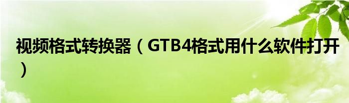 视频格式转换器（GTB4格式用什么软件打开）