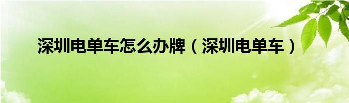 深圳电单车怎么办牌（深圳电单车）